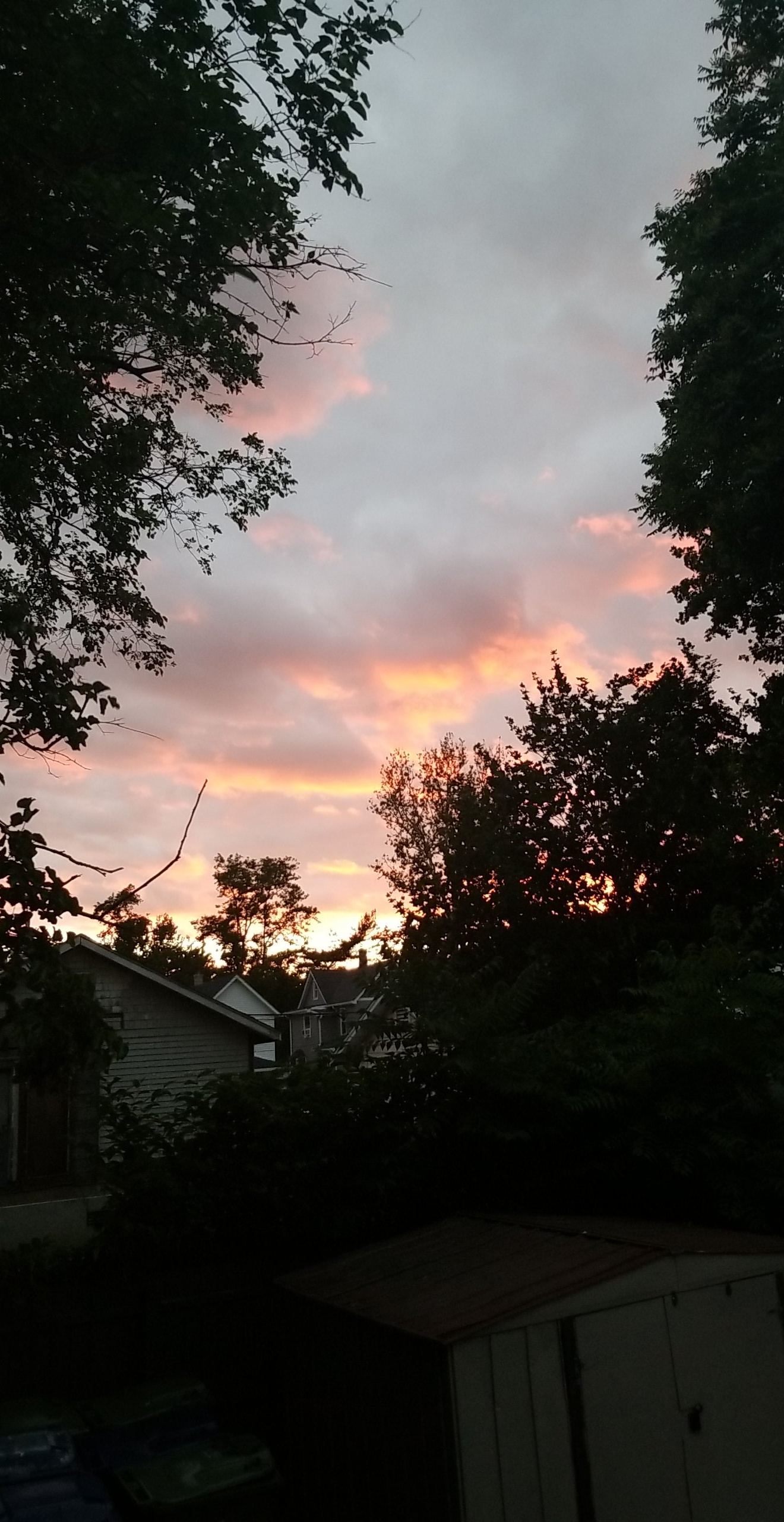 a photograph looking west from my room in neptune new jersey on saturday the 19th of june 2022. the image showsthe clouds lit by the sunset with the colors orange and gold framed by the silhouettes of trees on the left, right, and bottom of the image. one can spy three houses in the distance and this house's shed.